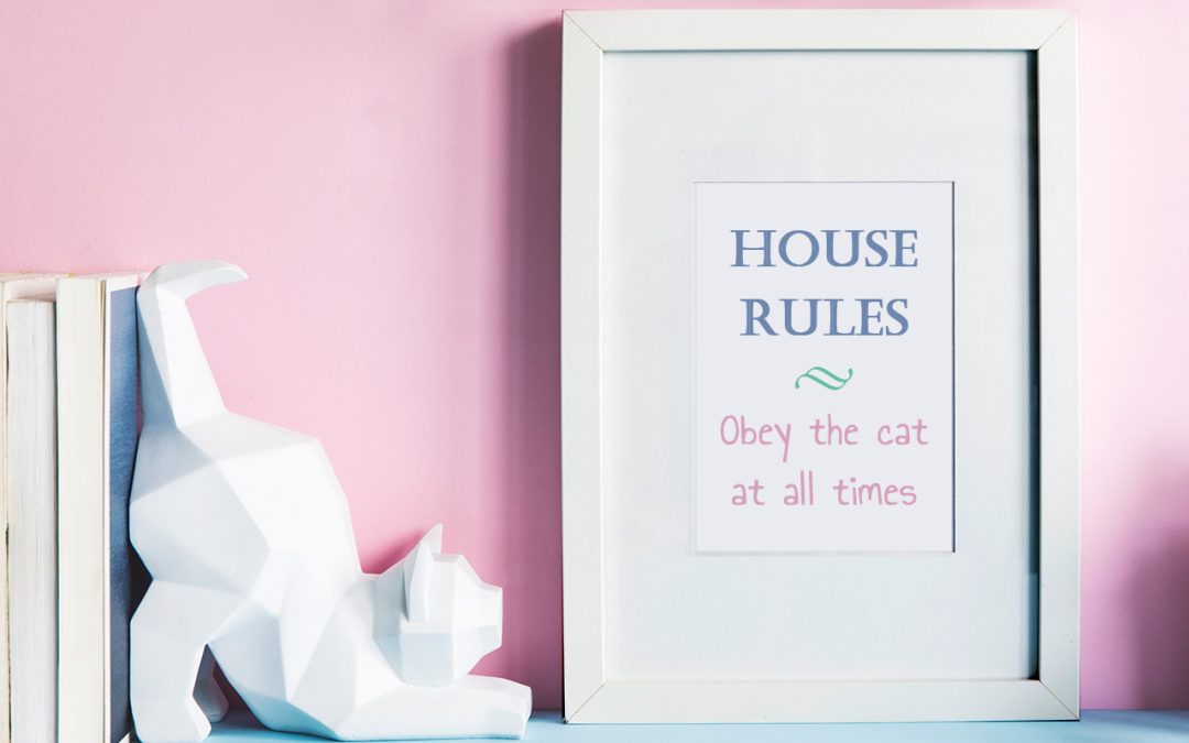 Things to keep in mind during a house sit