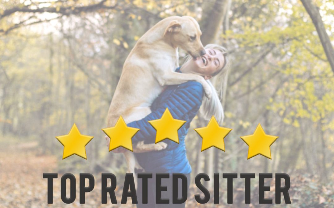 What Makes a Great House Sitter?